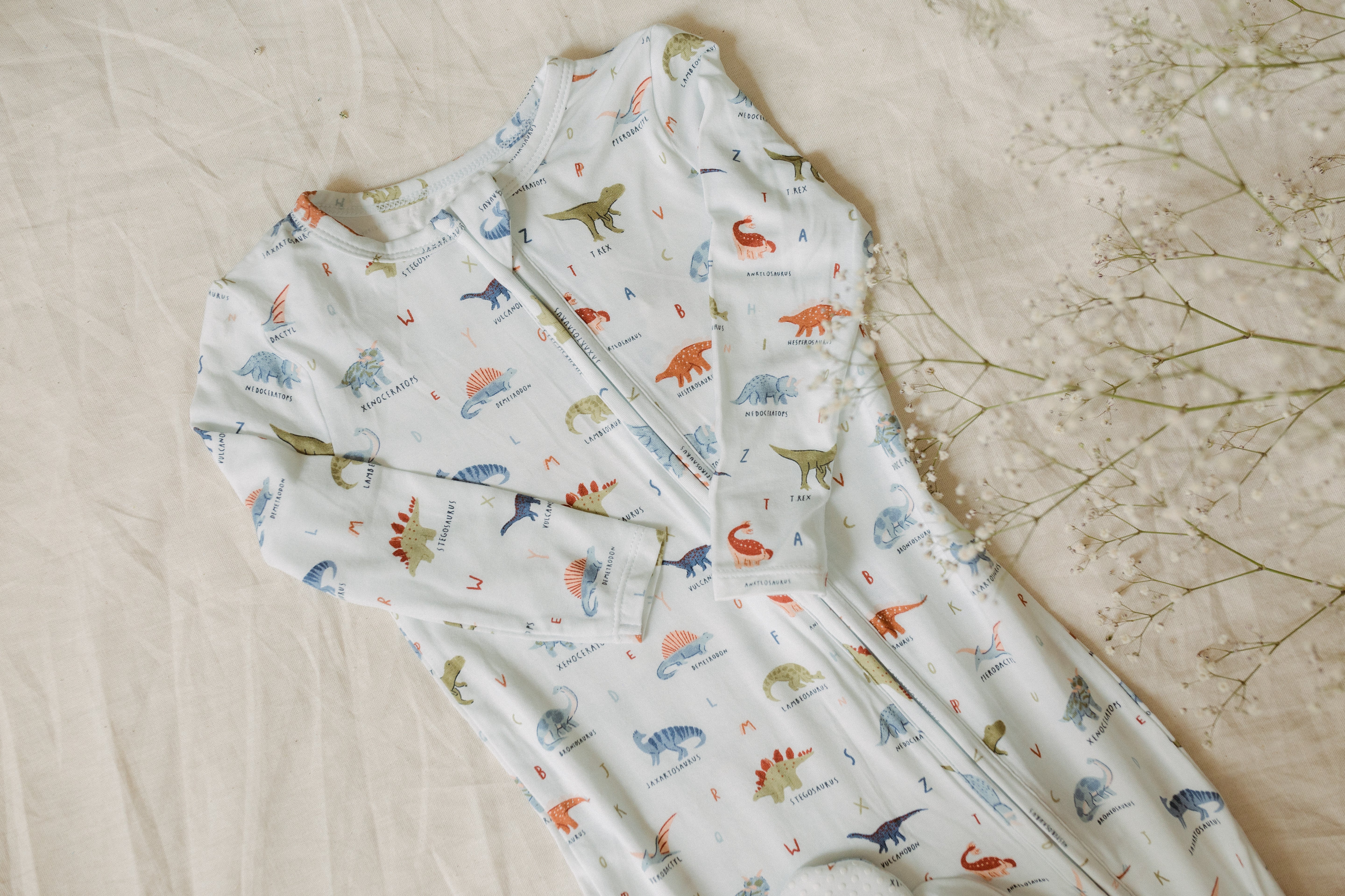 Dinosaur ABC 2 Way Zipper Footie