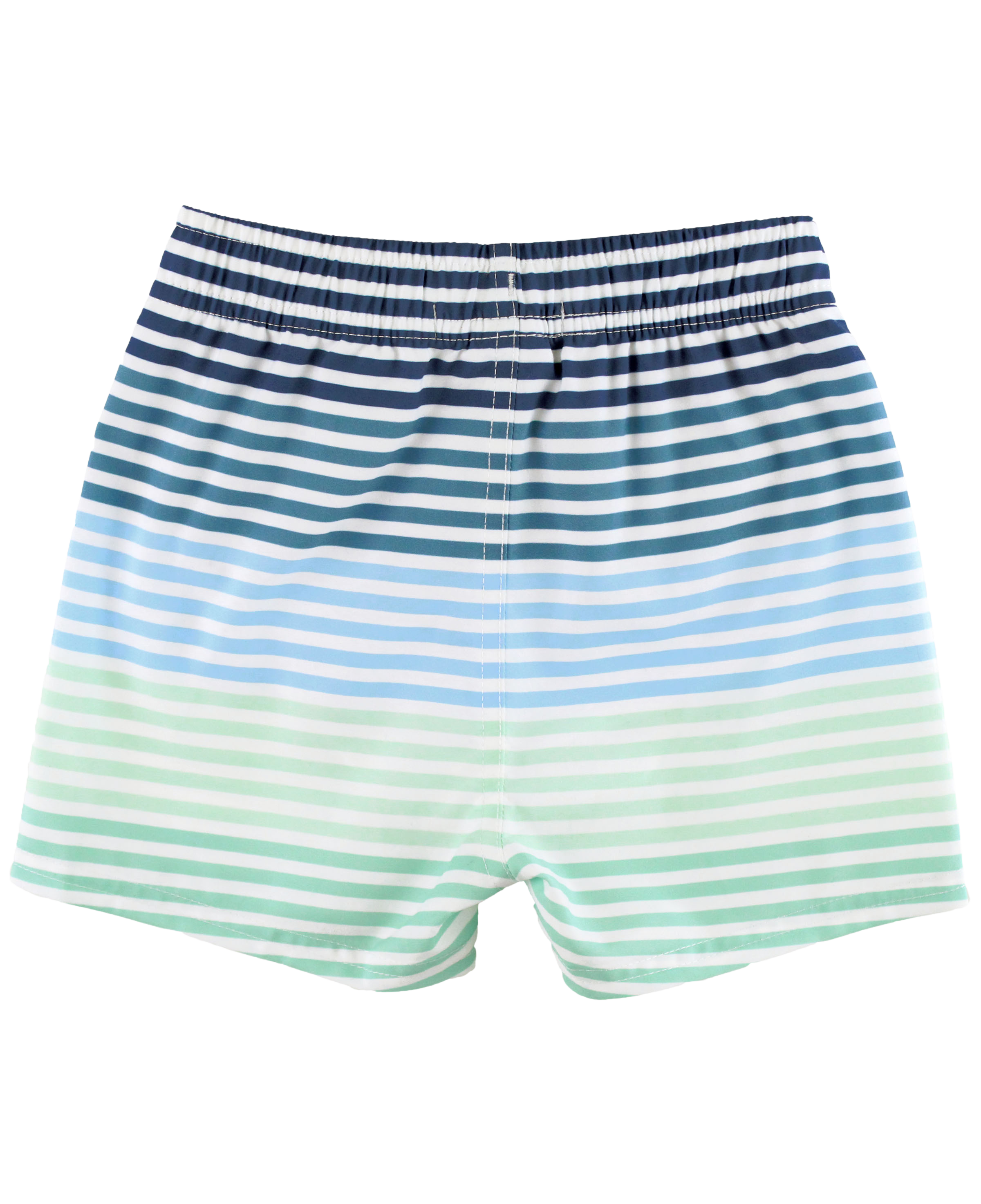 Coastal Stripe Swim Trunks